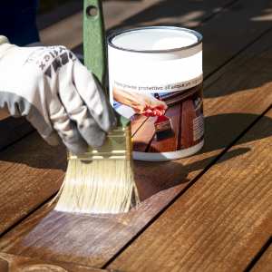 Immagine per la categoria PRODOTTI PER TRATTAMENTO E RESTAURO DEL LEGNO