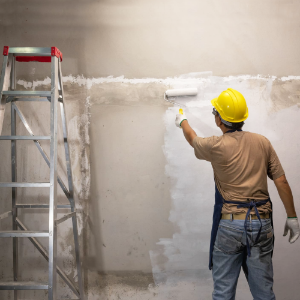 Immagine per la categoria PREPARAZIONE DEI SUPPORTI E FONDI