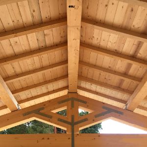 Immagine per la categoria LEGNO PER EDILIZIA