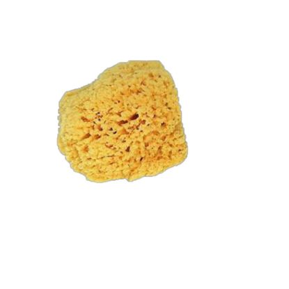 Immagine di SPUGNA MARINA NATURALE 10/15CM STORCH