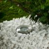 Immagine di FARETTO CARRABILE INCASSO Ø 100MM ATTACCO GU10 SENZA LAMPADINA IP67 CENTURY