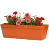 Immagine di FIORIERA CON RISERVA D'ACQUA  L 59 P 16,1 H 16 CM 11,5 LT COTTO ART PLAST