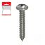 Immagine di VITE INOX PER FERRO TESTA CILINDRICA AUTOFILETTANTE 4,8X25 MM BLISTER 15 PZ