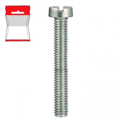 Immagine di BULLONE INOX TESTA PIANA CILINDRICA INTERAMENTE FILETTATO 6X50 MM BLISTER 4 PZ